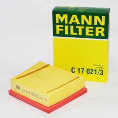 Filtro Ar Mann c17021/3