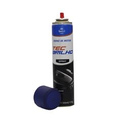 VERNIZ DE MOTOR AEROSOL TECBRIL 12X300ML