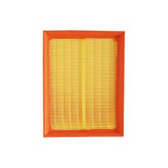 FILTRO AR TECFIL ARL9612 6E5Z-9601-GA